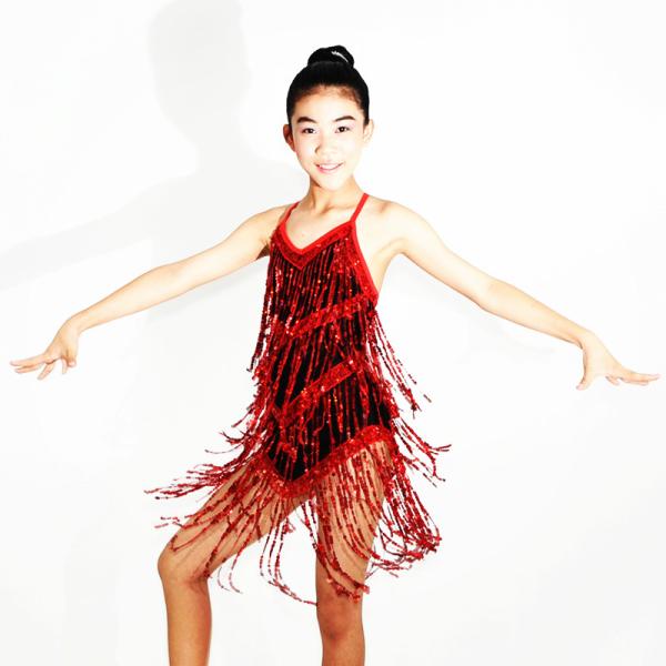 Black Red Latin Dance Costumes , Fringe Latin Dress Spandex Lining Leotard Under