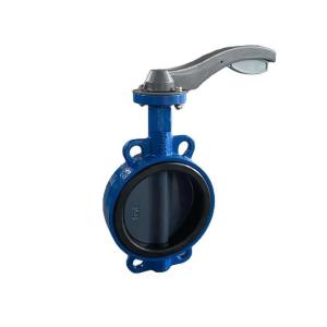 China Cast Iron Lug Type Valve Butterfly Valve PN10 DIN3202 Custom wholesale