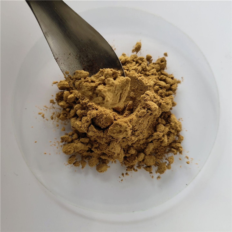 Medicine Grade Detoxification Hedyotis Diffusa Willd Extract