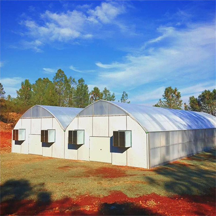 Light Deprivation System Blackout Greenhouse Single Span For Herb