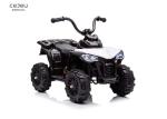 6V4AH Rechargeable Battery 6v Ride On Quad Electric