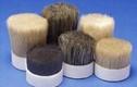boiled bristles