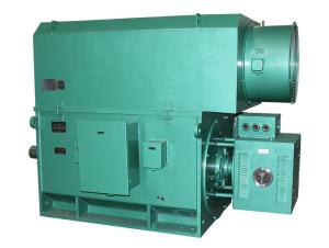 China YKK YRKK Series 6kV Asynchronous Squirrel Cage Motor Three Phase Asynchronous Motor wholesale
