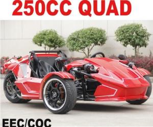 China 250cc EEC Trike Scooter for Adult wholesale