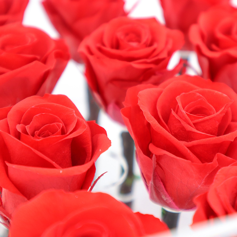 2020 New Year Love Gift Preserved Rose Flower Wedding Souvenirs For Guest