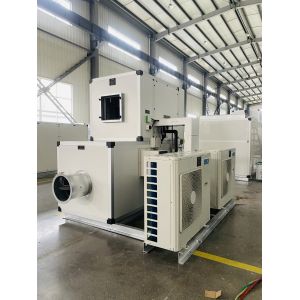 Silica Gel Desiccant Dehumidifier with DX Cooling Coil