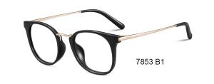 China Plastic Flexible Optical Glasses Frames Metal Temple Square Eyeglasses Frames wholesale