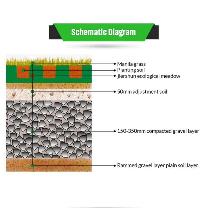 Modern Design Plastic Grass Grid for Driveways Strengthen Soil and Enhance Aesthetics