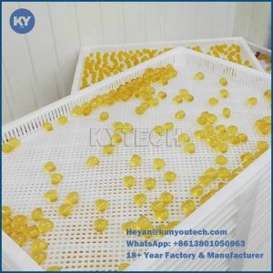 China PP Food Grade Plastic Drying Tray 758x608x40mm wholesale