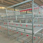 Baby Broiler Chicken Cage Farming Coop Animal Husbandry Equipment