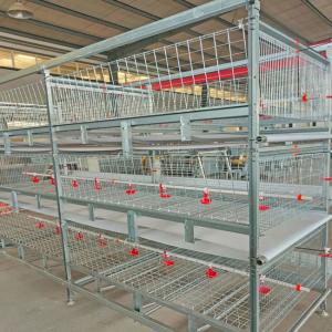 China Modern Poultry Battery Cage , 150 Broiler Chicken Farming Equipment wholesale