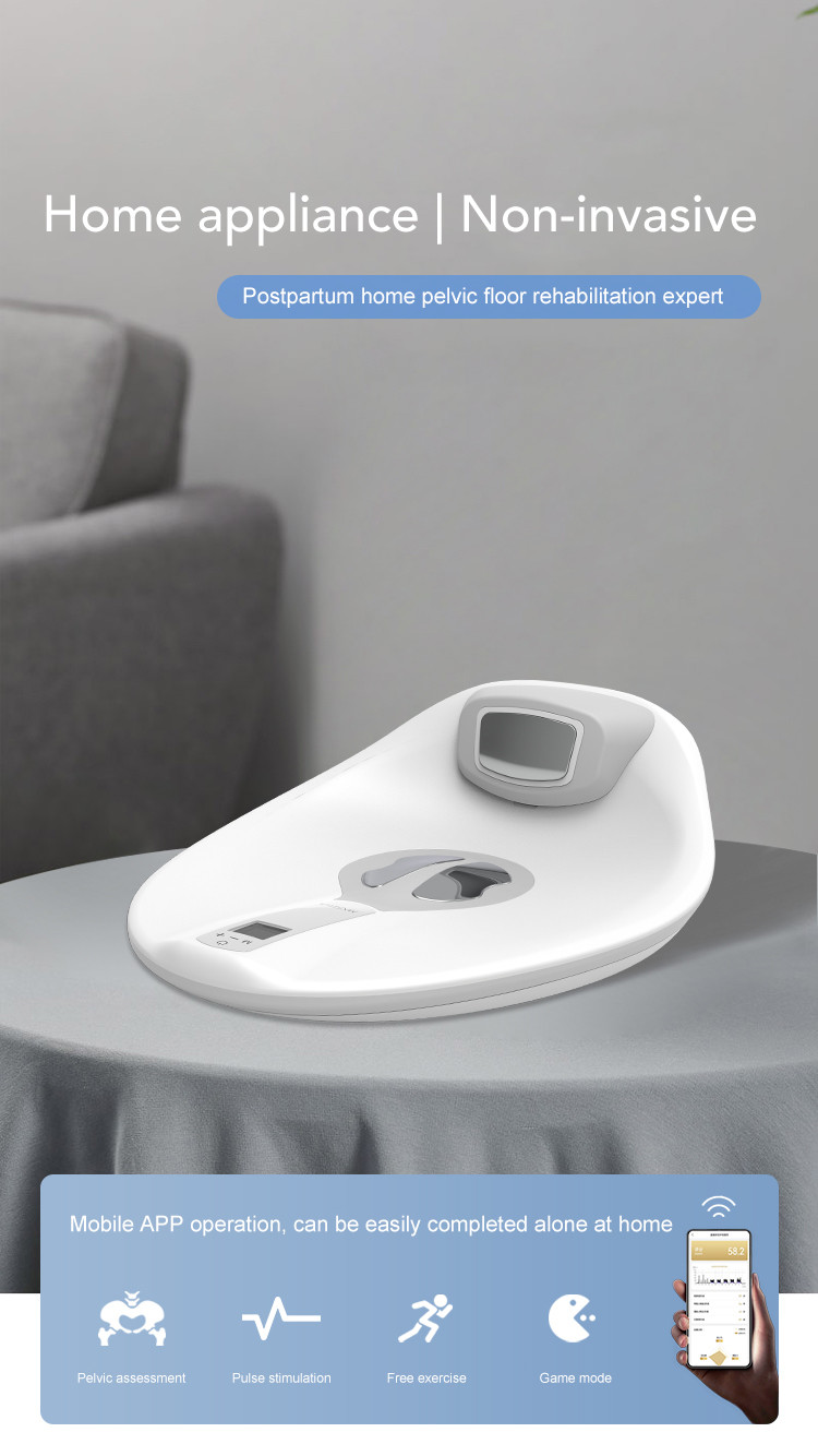 Foot Therapy Terahertz P90 P100 Foot Pemf Terahertz Therapy Device
