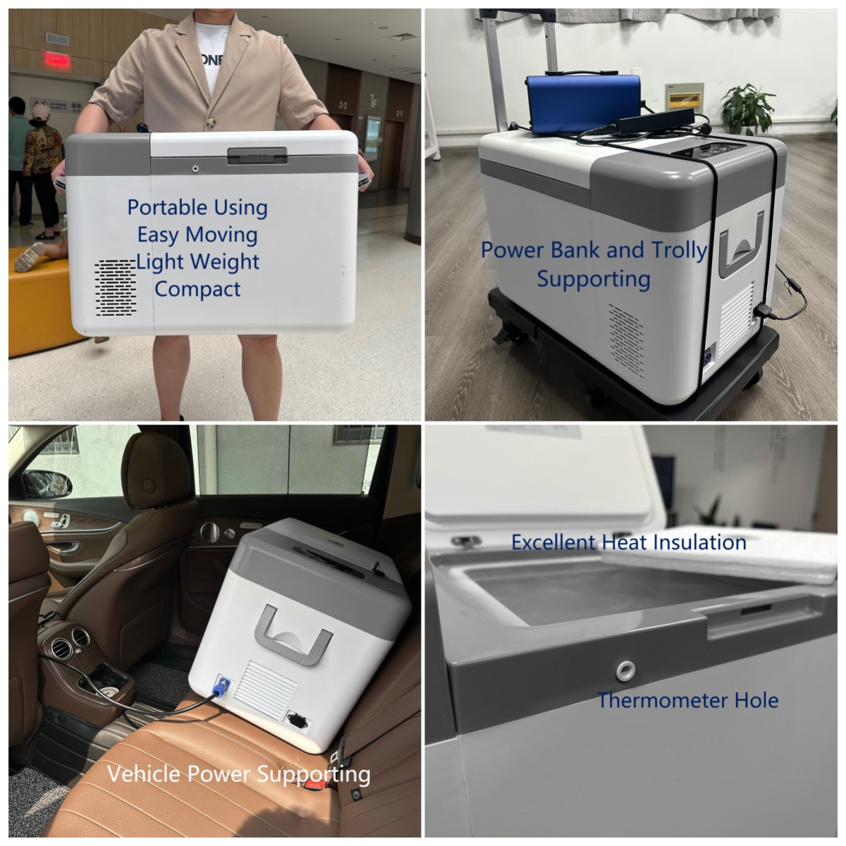 Biological Materials -45C Portable Ultra Low Temperature 12V DC Stirling Cryogenic Mini Cooler Lab Freezer