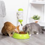 Detachable Automatic Pet Food Dispenser Customized Logo Plastic Material