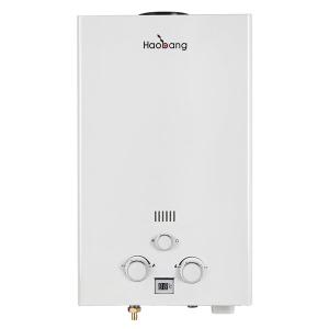 China 6L Instant Gas Water Heater Wall Mounted Tankless Shower Heater wholesale