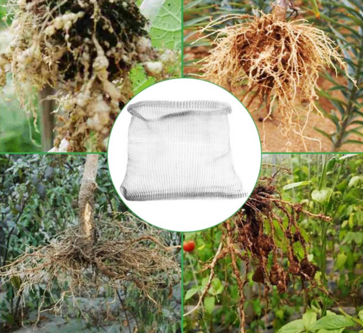 Root Guard Gopher Basket 5 Gallon Gopher Wire Planting Baskets