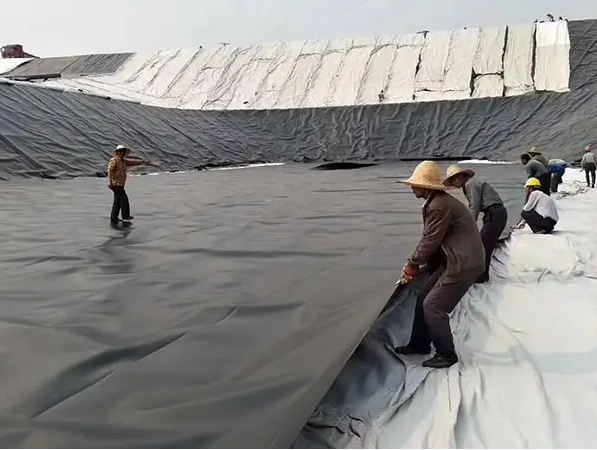 Double Smooth HDPE Geomembrane Fish Pond Liner Waterproof Membrane 0.5mm 1mm 1.5mm 2mm
