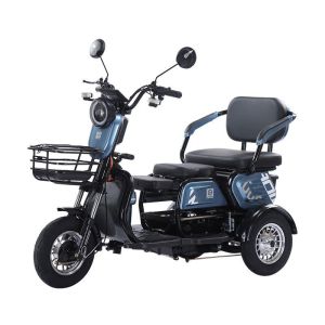 National Standard Household Small Adult Women'S Electric Tricycle Passenger