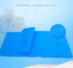 Sms Bed Transfer Sheet