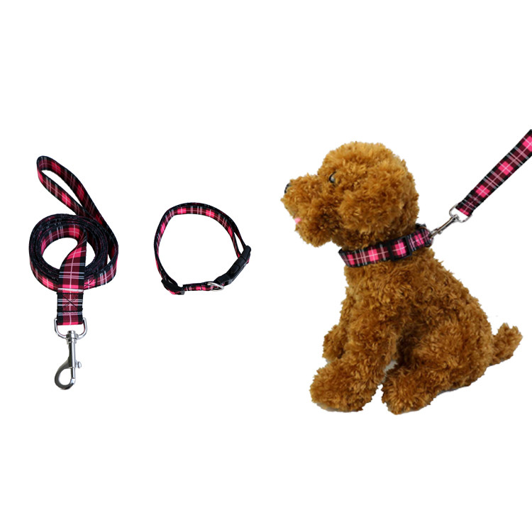 Metal Buckle Seatbelt Pet Collars Leashes 2.5CM Width OEM For Dog