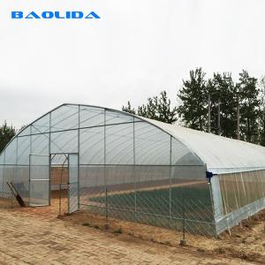 China Singlespan Growing Farming Polyethylene Film Greenhouse For Vegetables wholesale