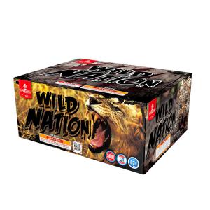 China 63 Shots New Item Rapid Tails Shooting Cake Fireworks wholesale