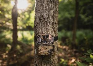 China 2 Inch LCD 16MP Wide Angle Hunting Camera No Glow HD 1080P wholesale