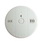 Home Security 30ppm Carbon Monoxide Co Alarm Battery Operated