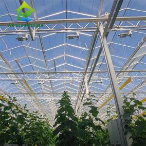 China Commercial Multispan Large Venlo Glass Greenhouse Hot Galvanized Steel Frame wholesale