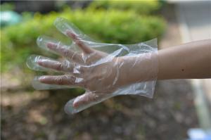 China Plastic Disposable HDPE Gloves For Kitchen Cooking Cleaning wholesale