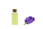 CAS 8024-08-6 Aromatherapy Violet Flower Essential Oil Body Care