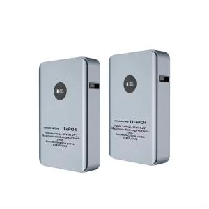 China 48V 51.2V 100Ah 200Ah Residential LiFePo4 Battery Energy Solutions Large Capacity Wall Mounted Type wholesale