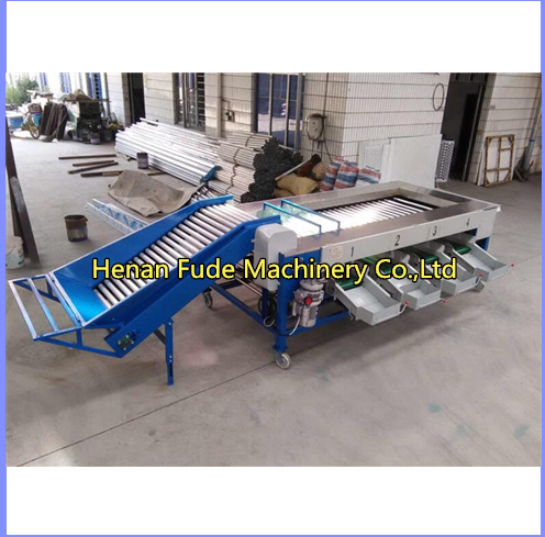 Potato sorting machine, potato grading machine