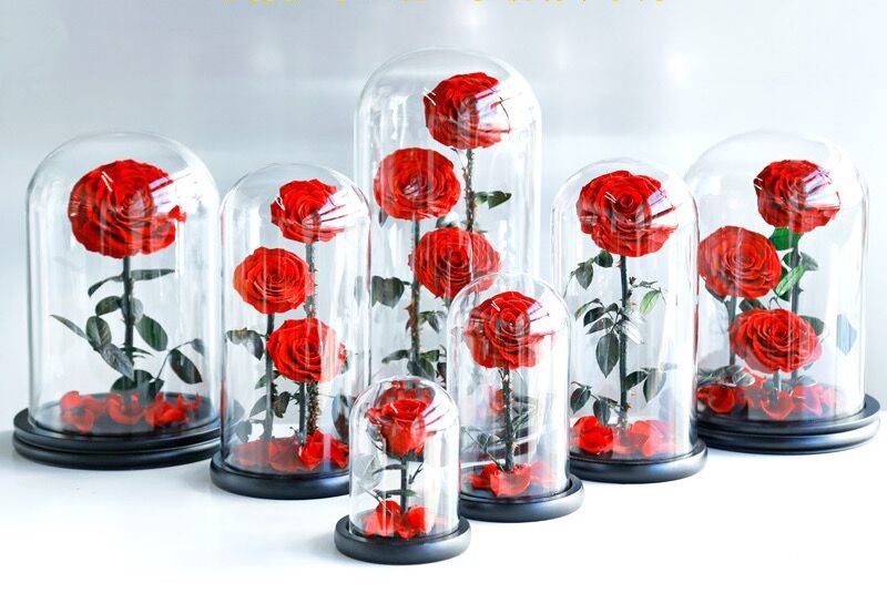 Hot Selling Preserved Rose with Glass Dome Mini Artificial Flowers Preserved Flowers for Valentines day Gifts