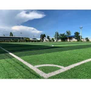China 40mm Tender Green Artificial Grass Roll For Football Pitch wholesale