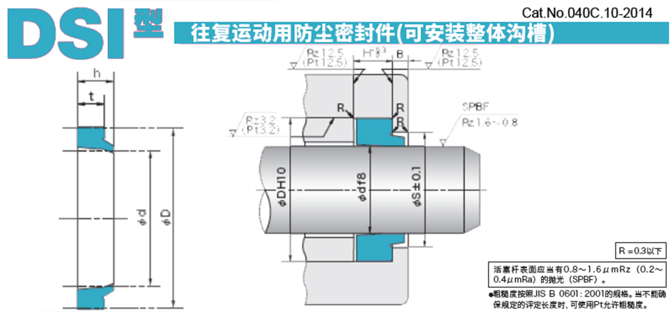 DSI Cylinder Dust Seal