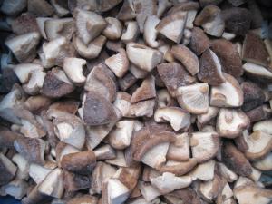 China IQF Frozen Shiitake Mushroom Quarter(1/4) wholesale