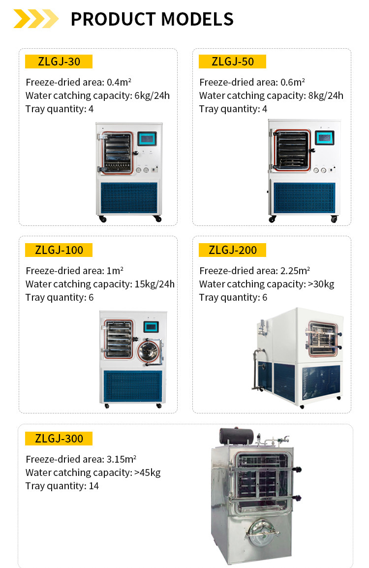 Laboratory Lyophilizer Dryer Freeze Drying Machine Fruit Vegetable