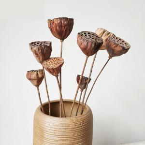 China Ornamental 50cm Seedpod Lotus Root Dried Flower Decor wholesale