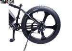 48V 500W Electric Battery Powered Bike TM-KV-2620 Beach Fat Tire Mountain Ebike