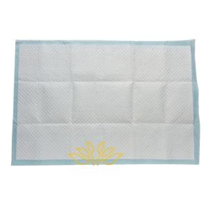China Disposable Adult Nappy Pants Heavy Absorbency Underpads 60X90 Cm wholesale