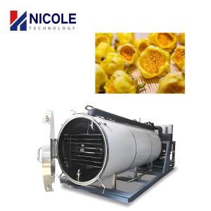 China Food Fruit And Vegetable Vacuum Pump Freeze Dryer Lyophilizer Customised wholesale