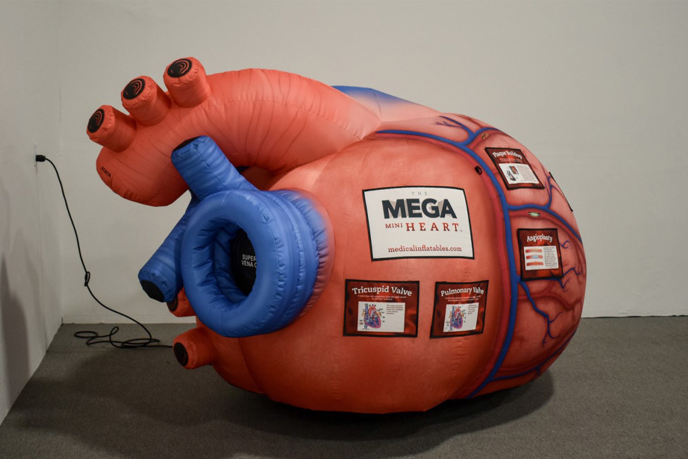 Inflatable Human Organs Giant Brain Heart Lungs For Teaching Medical Activities Display