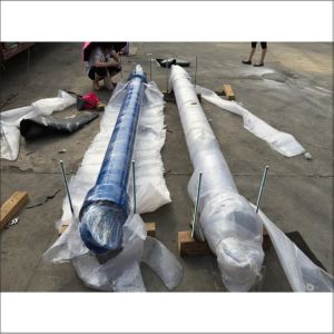 Rexroth CDH1MP5 200 125 3000A1XM1CSDMWY Hydraulic Cylinder With Single-Rod