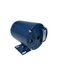 Induction AC motor