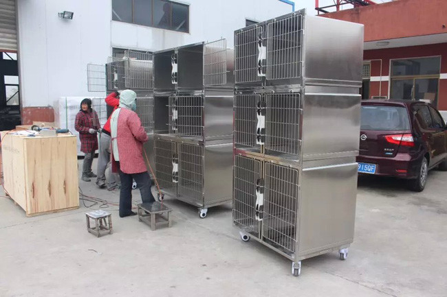Combination Stainless Steel Animal Cages 2400 * 700 * 2140mm for Veterinary Clinic
