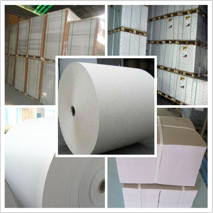 Double Side Coated Kaolinite 300g C1S Art Board for Ream Packaging in Ningbo Market