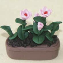 China Model Ceramic pot Flower CF44 wholesale