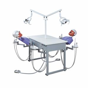 China Hospital Dental Teaching System Dental Simulation Units wholesale