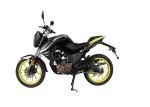 Electric Starting Gas Powered Motorcycle International 5 Files Gearbox